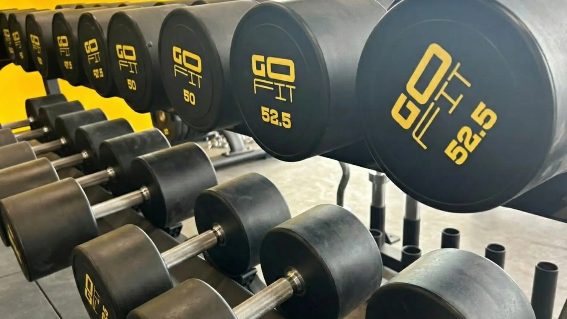 How Personal Training Accelerates Fat Loss Without the Crash Diet