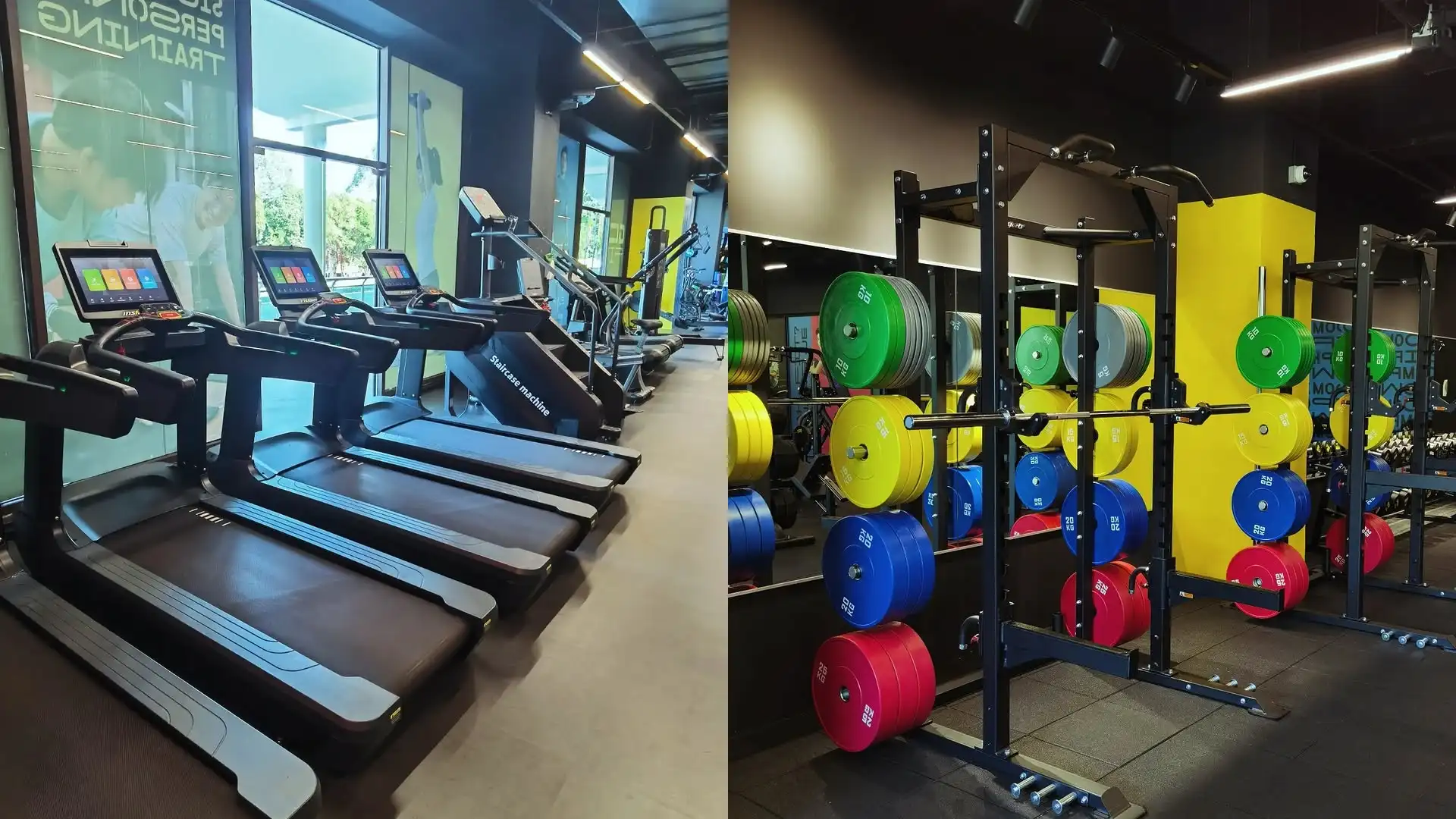 When Can You Exercise After Pregnancy? A Postpartum Fitness and Weight Loss Guide