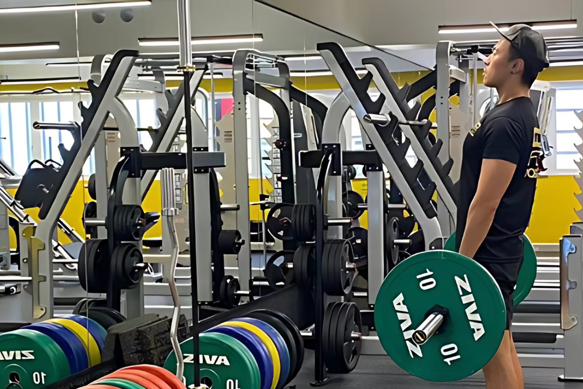 Gym Machines vs Free Weights: A Beginners Guide
